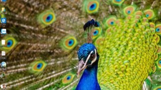 Cách tìm kiếm hình ảnh nâng cao