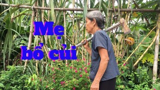 Cơm rau dền đỏ với muối hạt lạc vị quê  ngày mưa buồn của Mẹ - Cơm Mẹ Nấu