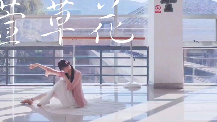 [Banxia] A dance for mommy ੭ ᐕ)੭* Daylily | Theme song of "Hello, Li Huanying"