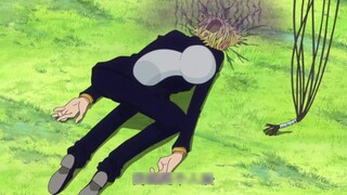 Luffy, cậu có thực sự luyện tập tốt trong hai năm qua không? Hãy nhìn tôi lần nữa!
