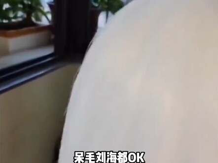 So hairstyles literally can’t save your looks, right?