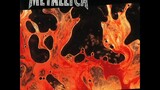 Metallica - Cure