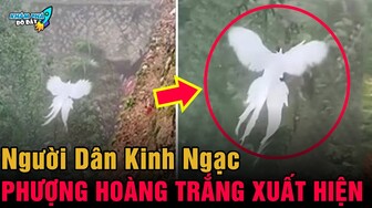 ✈️ 7 Tình Huống Bí Ẩn và Kỳ Lạ Nhất Thế Giới Mà Chắc Chắn Bạn Chưa Biết  | Khám Phá Đó Đây