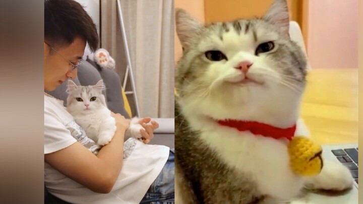 “女人，你拿什么和我抢男人？”