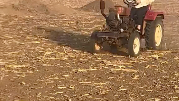 说有点虎还闹分手