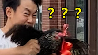 简单使我快乐