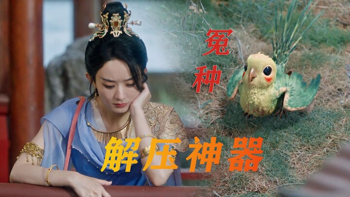 Cười chết mất thôi!!! Lần đầu tiên gặp nữ chính nóng tính thế này, hở một chút là nhổ lông! Tự dưng 