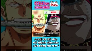 Aokiji sẽ chiến đấu với thành viên nào của băng mũ rơm ? #onepiece #shorts