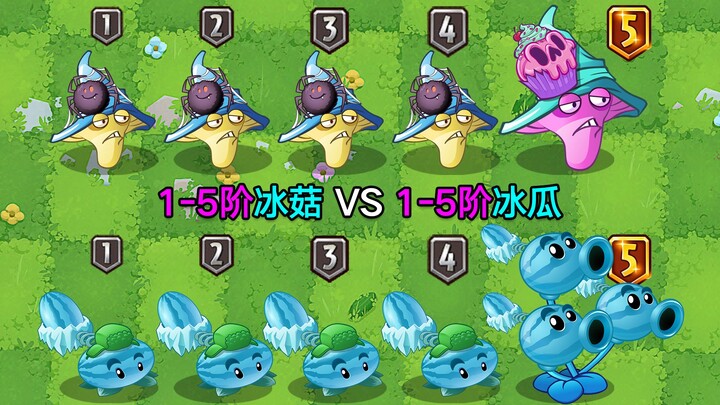 Jamur Es Level 1–5 vs Semangka Es Level 1–5! Dua Artefak Tak Terbatas dengan Atribut Es! Mana yang L