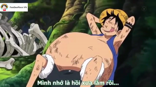 Con lợn "số nhọ" khi gặp phải luffy [AMV] #anime #onepiece #daohaitac