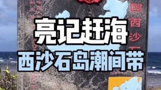 【亮记生物鉴定】西沙石岛赶海