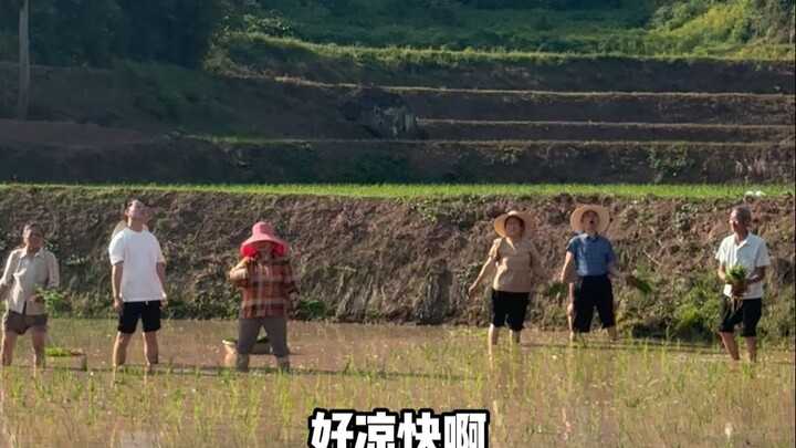 อากาศดีแบบนี้ ออกไปเดินเล่นกันเถอะ~