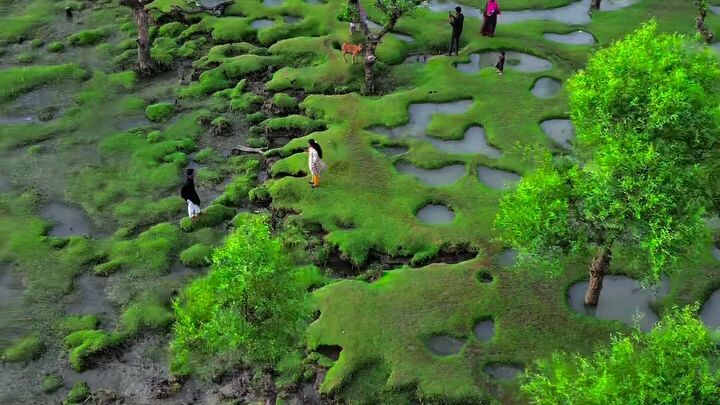 The Beauty of My city 😍#Bangladesh @barishal