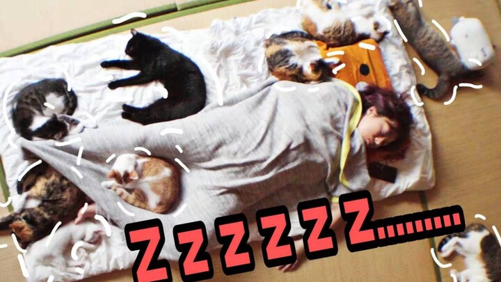 Sleep with 33 cats?? Cats dance at night but the owner sleeps deeply