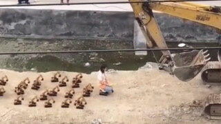 Video collection of hilarious human deeds