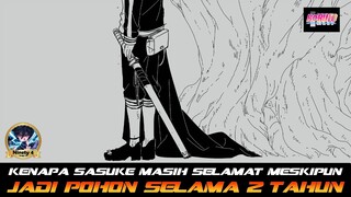 KENAPA SASUKE MASIH SELAMAT MESKI DIA MENJADI POHON SELAMA 2 TAHUN?