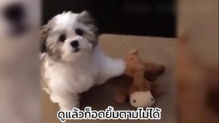 ความน่าเอ็นดูแหละ