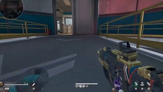 What the hell? What the hell!