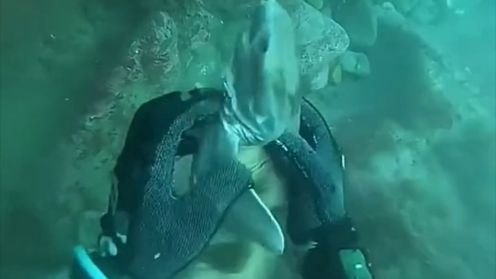 Slacking Off at Work