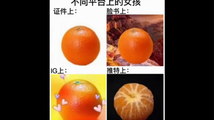 ภาพมีมสุดฮา｜ข้อมูลเยอะเกินไป