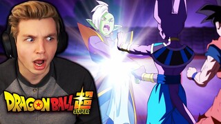 HAKAI!! Beerus OBLITERATES Zamasu!! (DB Super Reaction)
