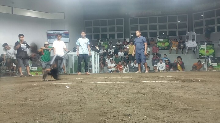 mayahin@5kings arena