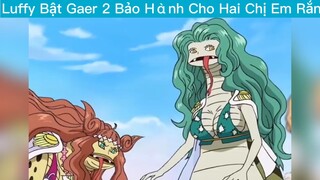 Luffy Bật gaer 2 bảo hành 2ce rắn