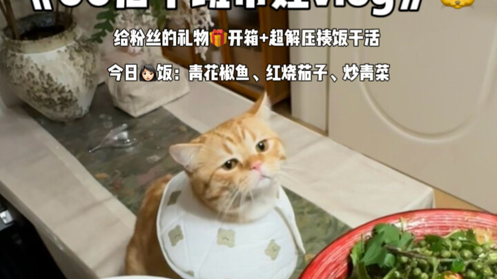 No more "chickenism"! Just focus on living your own cute, silly life!