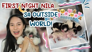 PUPPIES UPDATE! | SINO SA KANILA ANG PINAKAMAINGAY AT PINAKAMATAKAW?