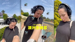 不去澳大利亚的理由+1