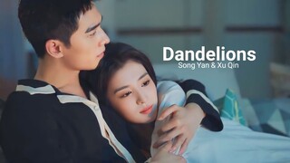 Dandelions | Fire works of my heart