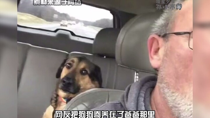 Tolong, ini terlalu penuh kasih!