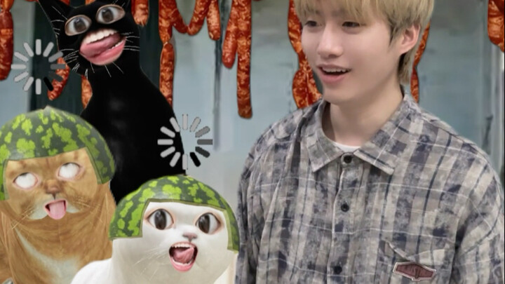 Cuộc đấu trí trộm xúc xích giữa mèo và chuột: Số cuối cùng của năm nay