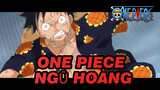 Ngũ Hoàng của One Piece