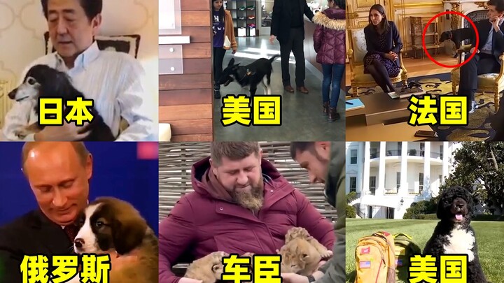 Presidents' pets from different countries: The Chechen leader's pet is a lion, and Putin's pet is so