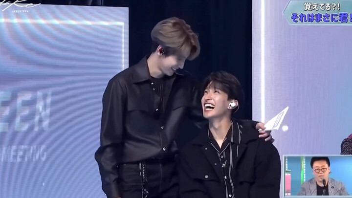 Kalau sudah dipilih dengan mantap oleh kakak, maka akan berubah jadi anjing kecil yang bahagia [Selu