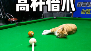 Cây gậy cao K móng vuốt