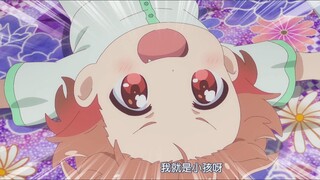 向哥这大脑门~~~