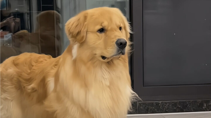 Di mana orangnya??!!