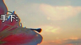 “Thưa bà, áo vest của bà lại rơi ra nữa rồi”