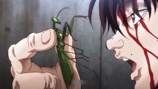 Baki learns the Mantis Fist and defeats the strongest insect!
