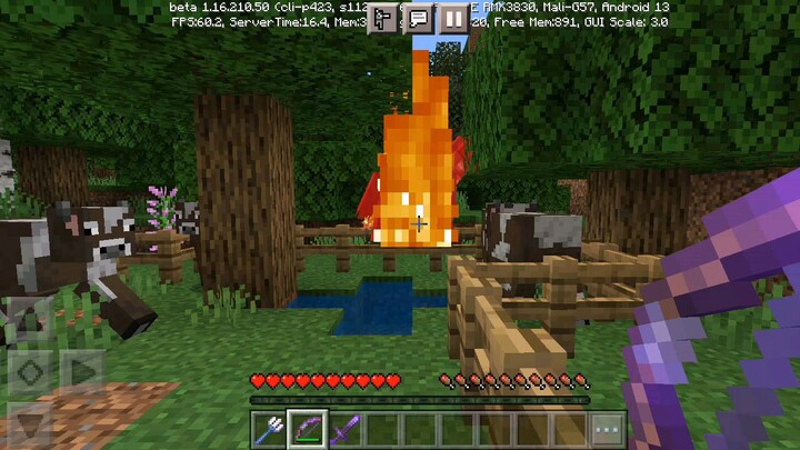 mine craft ever❣️❣️