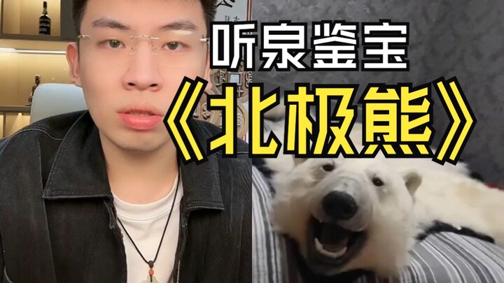 Bất ngờ xuất hiện chiếc đệm da gấu Bắc Cực, to đến vậy nằm chình ình ở đó, khiến anh Tuyền cũng phải