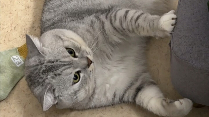 Dazhuang was thrilled to see his little brother wake up this morning.