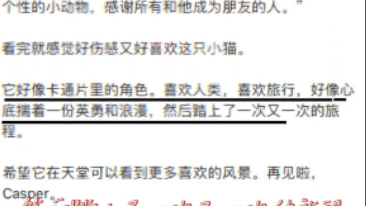 This little cat looks just like a romantic adventurer! In the cat's world, it must be an absolute su