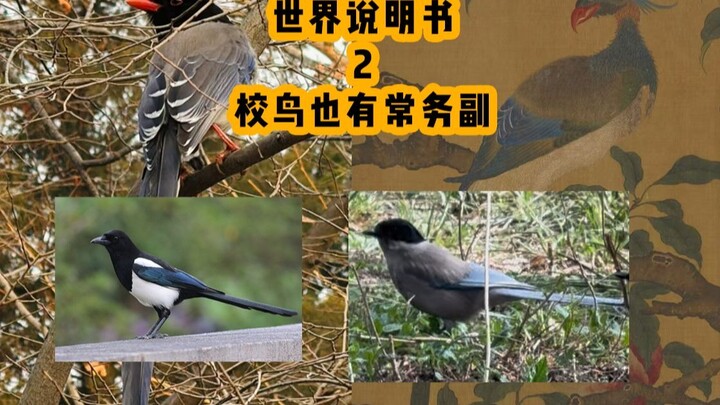 Burung kampus juga memiliki wakil.