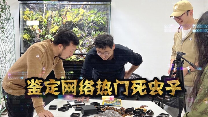 和博物的老师一起，鉴定一下你们说我有病买的虫子。