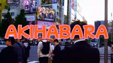 y2mate.com - We discovered Akihabara  best vegetarian ramen  ᵕ  _360P