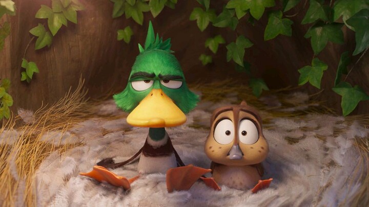 migration Full HD-English