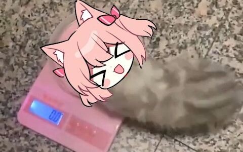 【هيرو】 مقياس ديبو للقطط ————